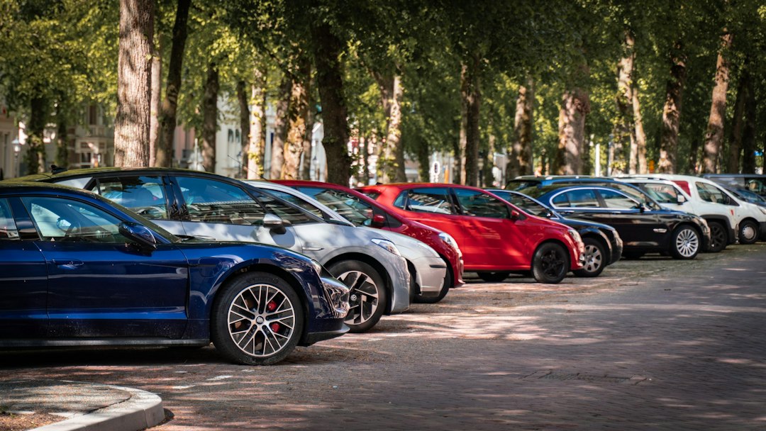 Carros usados estacionados lado a lado em uma rua arborizada
