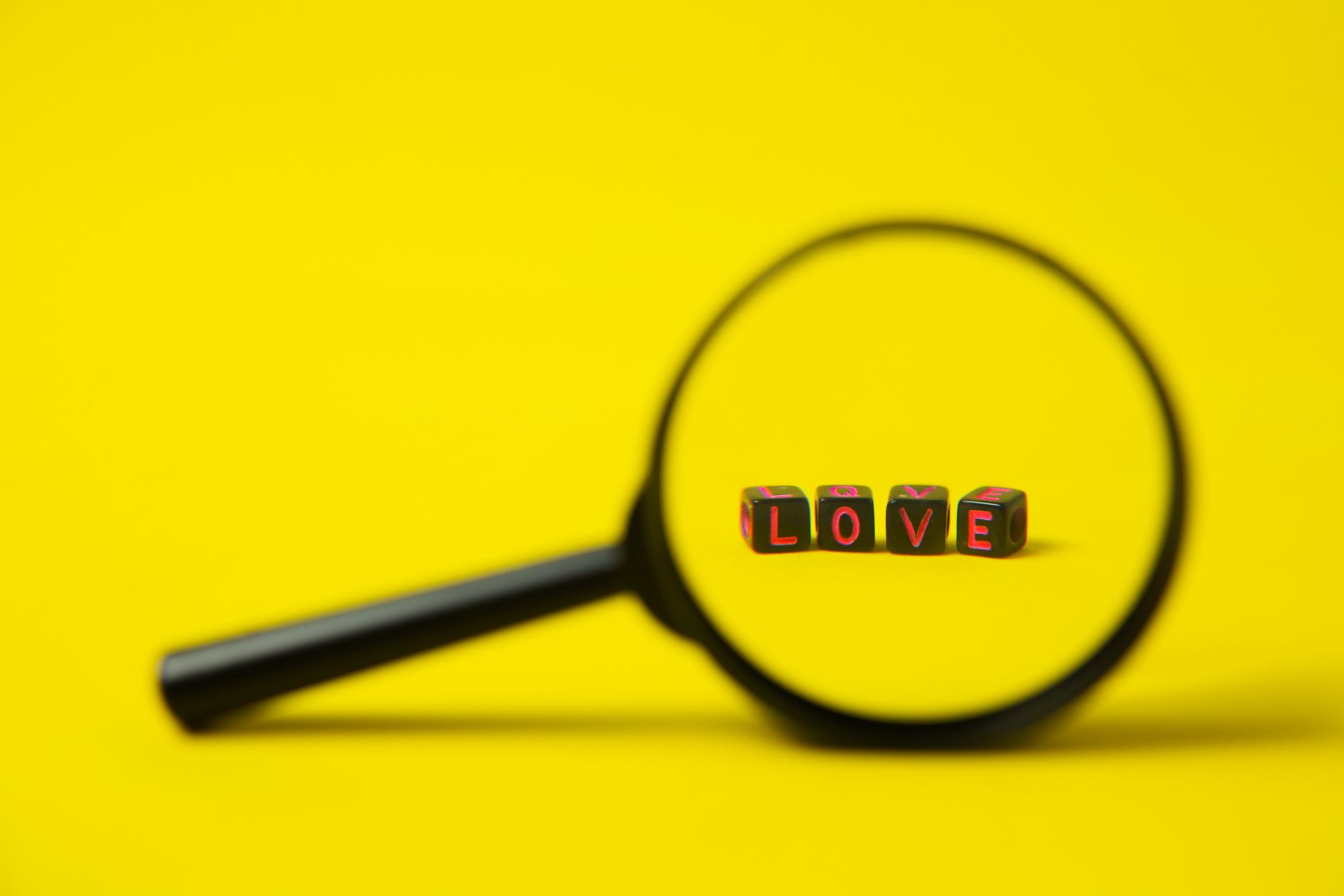 Lupa sobre fundo amarelo