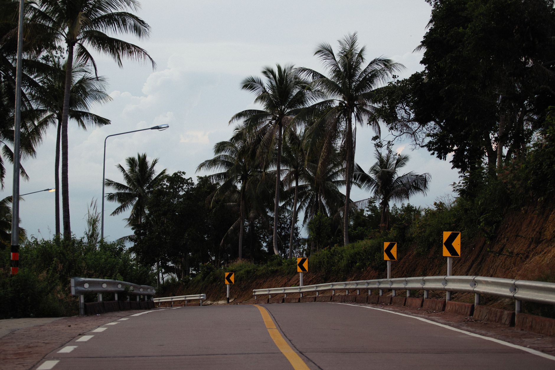 Rodovia arborizada em um dia claro